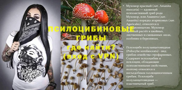эйфоретик Богородск