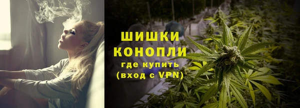 прущая мука Богданович