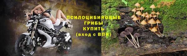 прущая мука Богданович