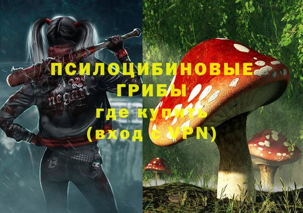 эйфоретик Богородск